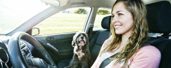 汽车里面挂什么好