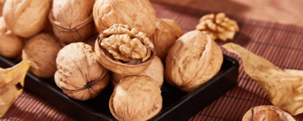 核桃里的分心木有什么功效