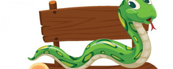 梦到很多蛇预示着什么