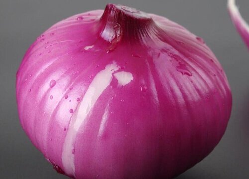 洋葱可以做肥料吗