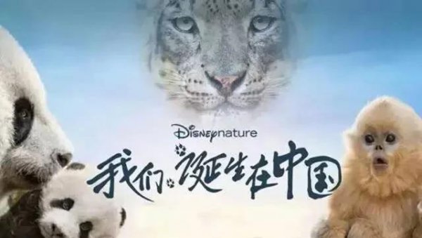 好看的儿童电影排行榜前十名