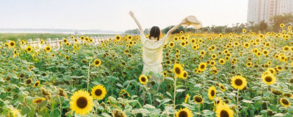 热天旅游注意带东西