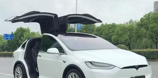 特斯拉哪款车性价比最高