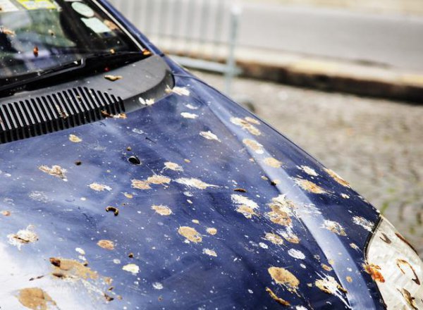 车子一个月不开对车有啥影响吗