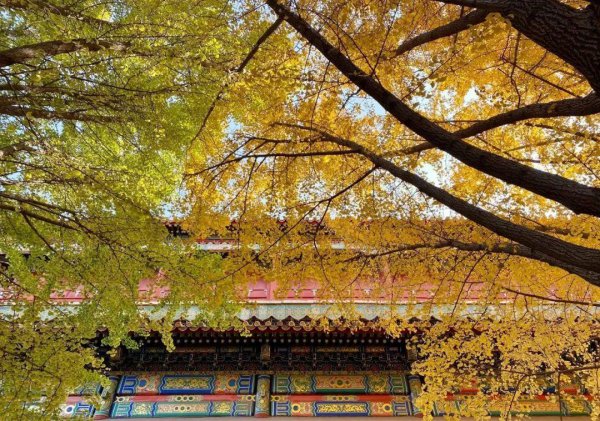 先小人后君子是什么意思