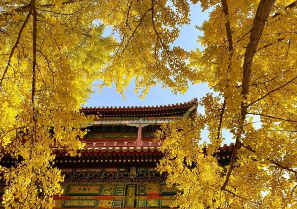 先小人后君子是什么意思