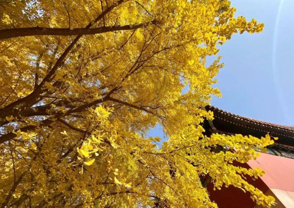 先小人后君子是什么意思