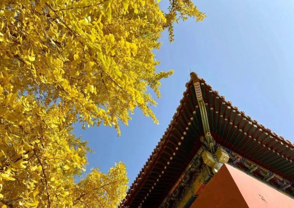 先小人后君子是什么意思