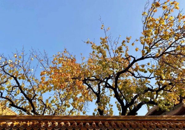 先小人后君子是什么意思