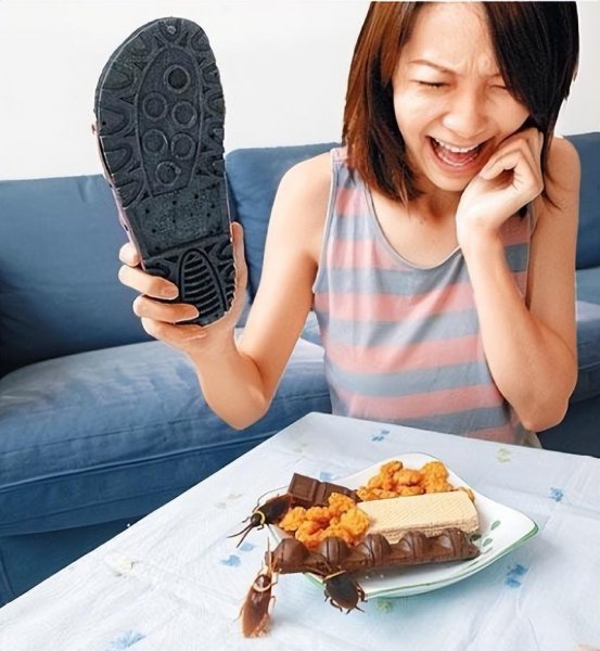 蟑螂会自己消失吗