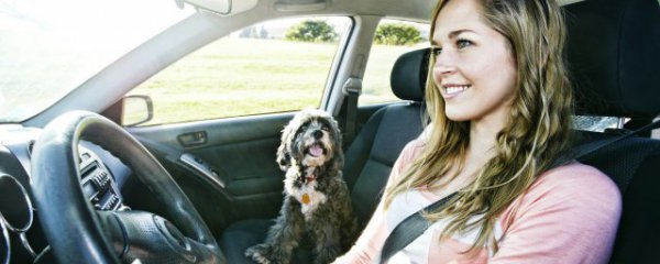 正确开自动挡车的方法