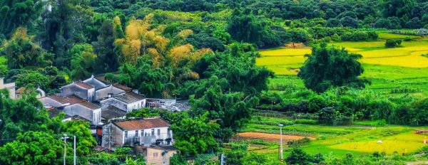 三农是指的哪三农