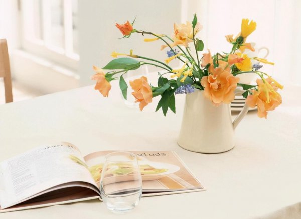 水瓶座和狮子座配对指数