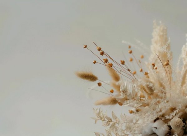 水瓶座和狮子座配对指数