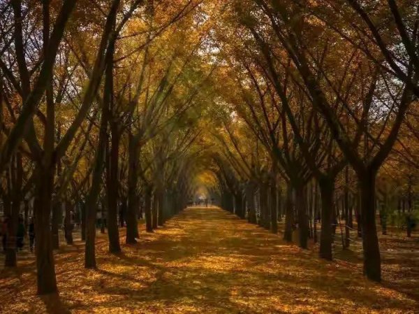 徐州旅游景点推荐