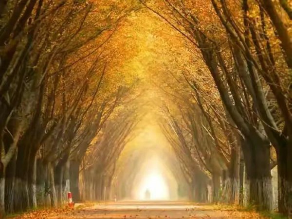 徐州旅游景点推荐