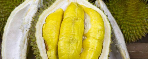 吃榴莲后能喝豆浆吗