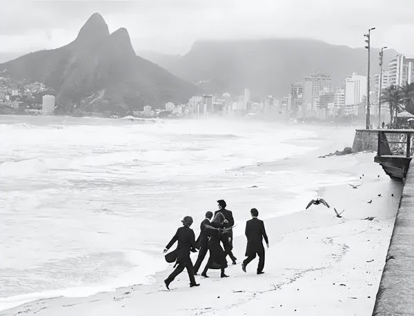 人间失格主要内容