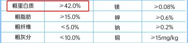 哪几种猫粮是比较安全可靠的品牌