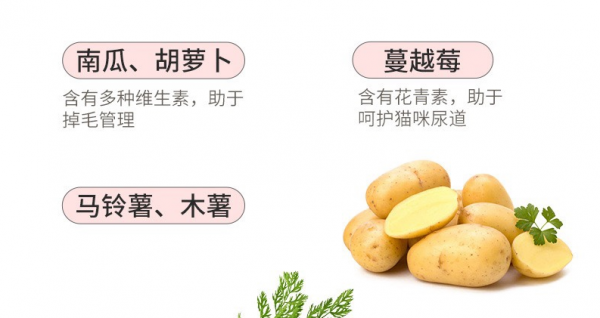 哪几种猫粮是比较安全可靠的品牌