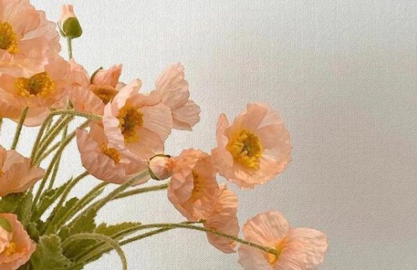 白羊座男生对待爱情的态度