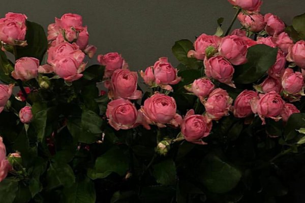 白羊座男生对待爱情的态度