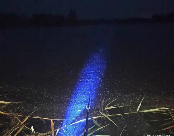 钓鱼千万不要夜钓