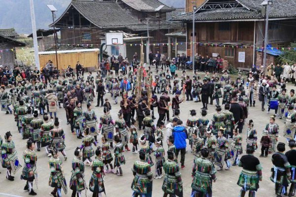 贵州的少数民族有哪些