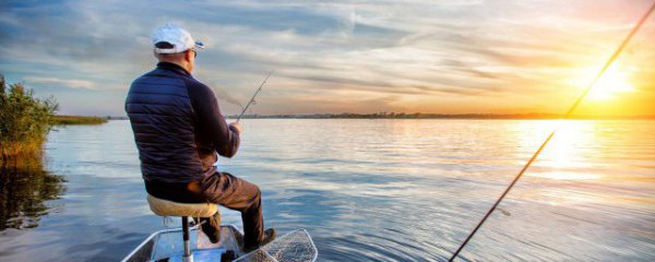 怎样判断钓鱼口味