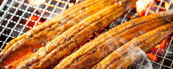 龙利鱼营养成分