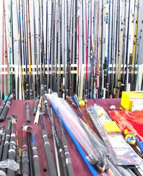 新手钓鱼是买路亚还是手竿好