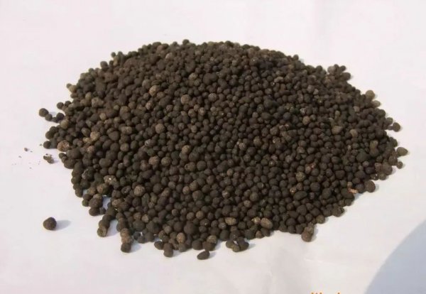 有机菌肥长白毛是好肥吗