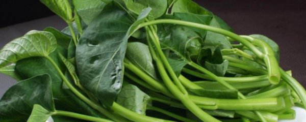 叶菜暂时不吃该如何保存