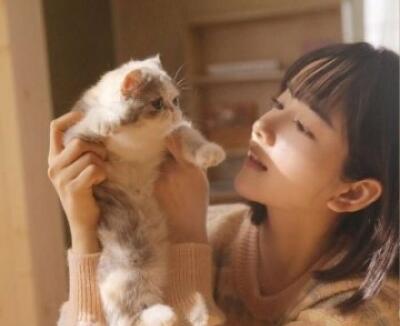 喜欢猫的女人容易出轨吗