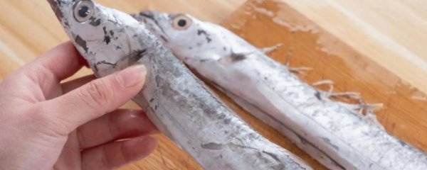 如何挑选新鲜带鱼