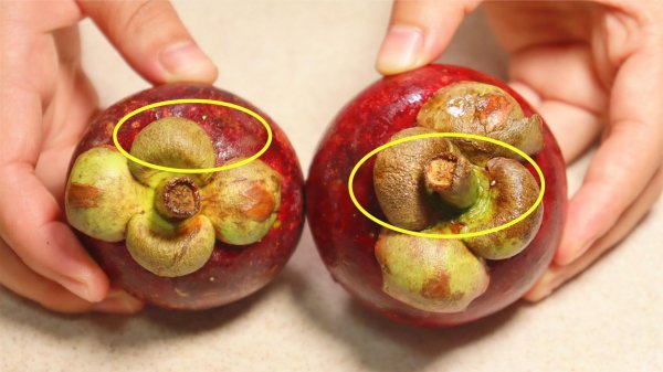 挑选山竹三大窍门