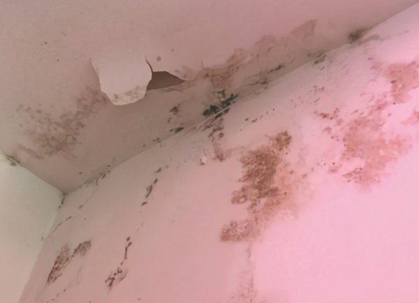 房屋漏水找物业一直拖怎么办