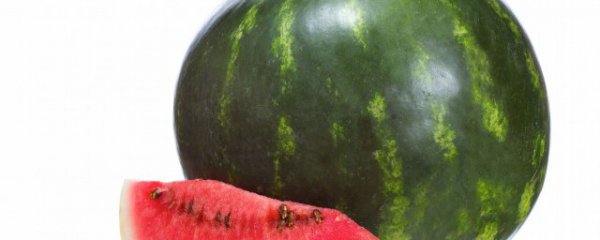 楼上室内适合种西瓜吗