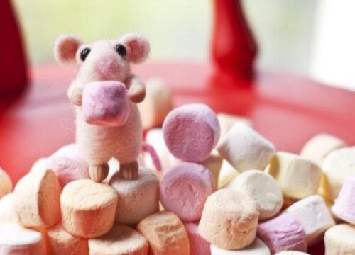 过期的糖可以做肥料吗