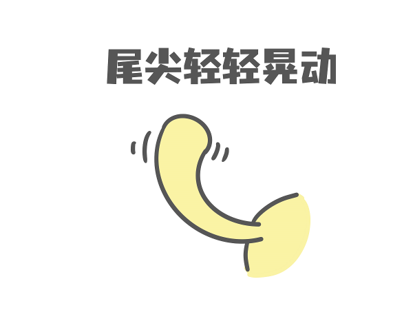 猫尾巴尖轻轻晃动代表什么意思