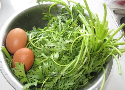 茼蒿菜种植时间和方法