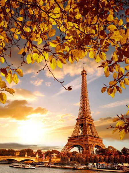 科洛西姆竞技场名词解释