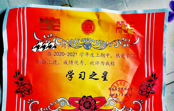 小学生奖状名称有哪些内容