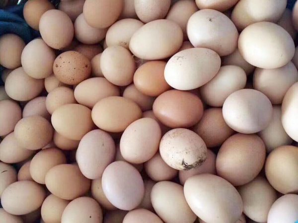 鸡蛋保存时间长最简单方法