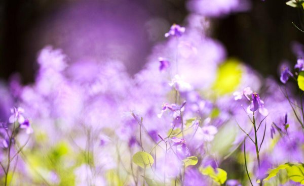 上班族初中毕业想提高学历