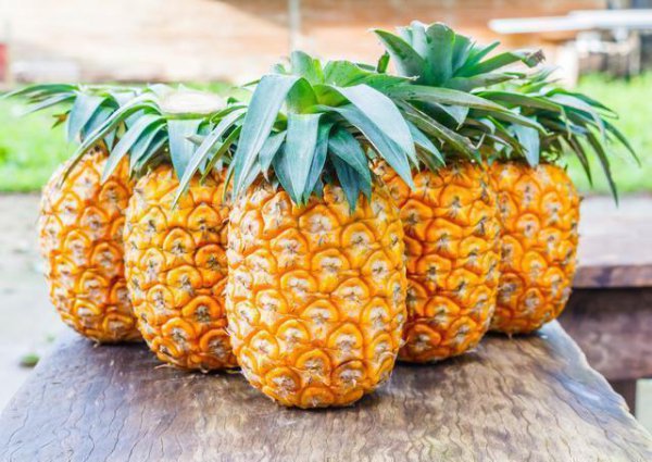 水果营养价值排行榜前十名