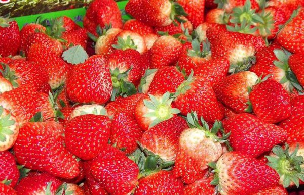 水果营养价值排行榜前十名