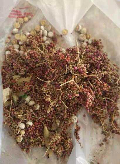 紫珠草的功效与作用