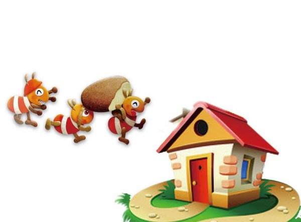 蚂蚁为什么会在下雨前搬家