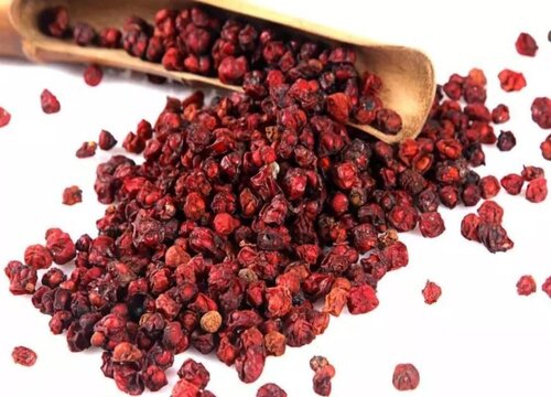 五味子是热性还是凉性